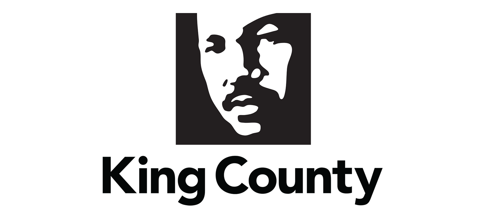 King County computer repair, network support, hosting, and technology contracting